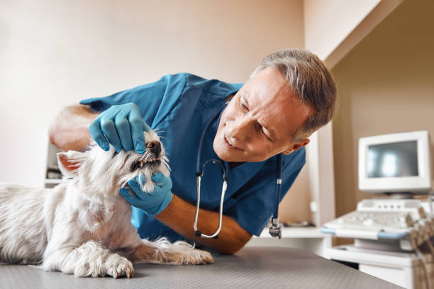 Best Root Canal Emergency Dentist  in Rio Pinar, FL